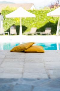 Hotels PoMo Hotel & Restaurant : photos des chambres