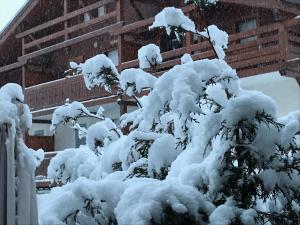 Appartements Le Hameau des Neiges : Appartement 1 Chambre