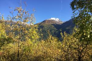 Appartements SERRE CHEVALIER 1200 : photos des chambres