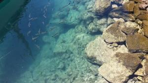 Playa De Mogan Alysio 5