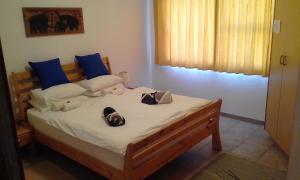 Maggie´s Accommodation