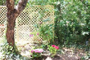 Casa vacanze il Giardino - Appartamento Ciliegio img2