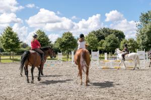 Appartements Les Ormes : photos des chambres