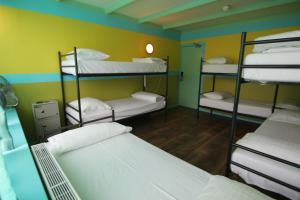 Single Bed in Mixed Dormitory Room for 7 people room in The Flying Pig Beach