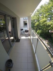 Wyspa Uznam - Platan