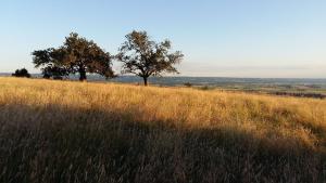 B&B / Chambres d'hotes Au dessus de Parady : photos des chambres