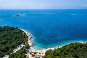 Modern villa Nerina with private pool near Pula