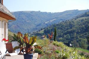 Maisons de vacances Au Riverain : photos des chambres