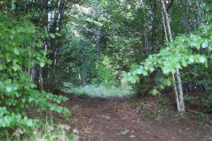 Kopaonik Apartman Squadra