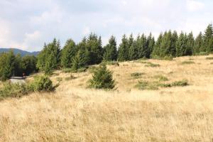 Kopaonik Apartman Squadra