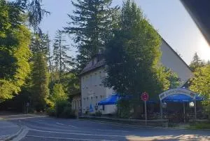Hotel Berggasthof Waldlust - 文西德尔