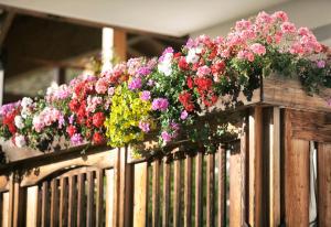 Lehrnerhof Lüsen Familienurlaub auf dem Bauernhof bei Brixen ruhig und authentisch