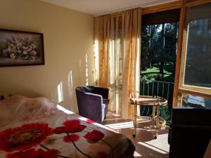 Geriausia vieta Palangoje