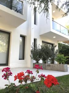 BOULEVARD DEPARTAMENTOS II