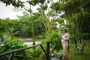Chilamate Rainforest Eco Retreat - La Virgen