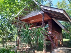 Activities Resort