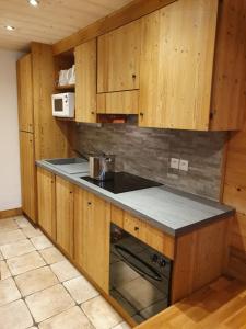 Appartement chaleureux 4-6 pers Chalet Chamois appt H2