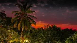 Simon's Lodge Hikkaduwa - 希克杜沃