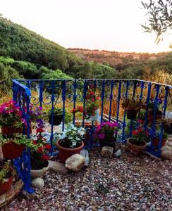 Casa vacanza centro Sardegna img36