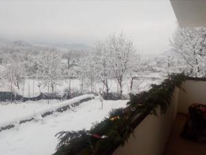 Pension CASUTA MAGICA Păuşeşti-Măglaşi Romania