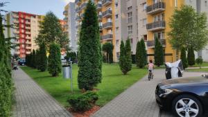 Brasov Kronstadt Garden Studio