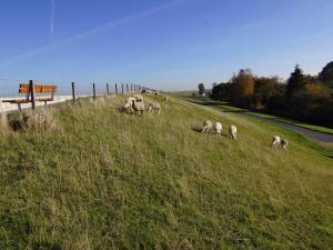 Ferienwohnung Achter`d Diek, 45183