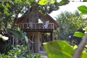 Driftwood Treehouse - Chintsa