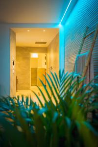Love hotels Cabinet de reveries : photos des chambres