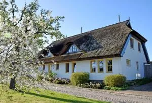 Ferienwohnungen im Fischerdorf und - Neu Reddevitz