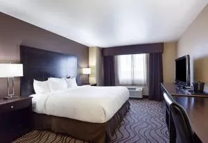 麦迪恩/博伊西昆塔套房酒店 - 博伊西