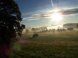 Ferienhaus Brunnenweiher