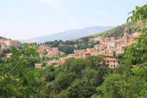Casa Vacanze Il Giardino - Appartamento Castagno