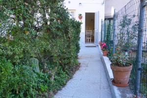 IL PARADISO DEGLI DEI 2