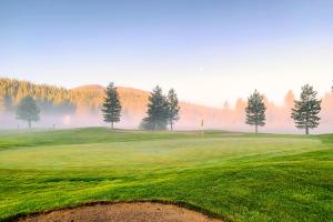 Sophisticated Northstar Mountain Retreat