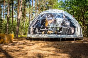 Maisons d'hotes Gites Insolites de Sologne : photos des chambres