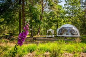 Maisons d'hotes Gites Insolites de Sologne : photos des chambres