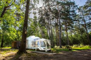 Maisons d'hotes Gites Insolites de Sologne : photos des chambres