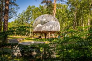 Maisons de vacances Bulles de Sologne - Hebergements insolites de luxe : photos des chambres