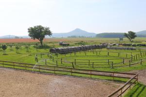 Gyulavezér Lovasbirodalma