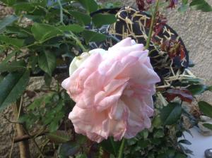 B&B / Chambres d'hotes chambre le nid du phare avec jacuzzi : photos des chambres