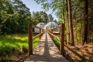 Maisons de vacances Bulles de Sologne - Hebergements insolites de luxe : photos des chambres