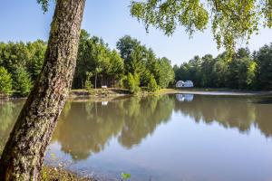 Maisons de vacances Bulles de Sologne - Hebergements insolites de luxe : photos des chambres