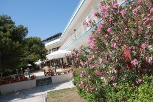 Galini Hotel Aegina Greece