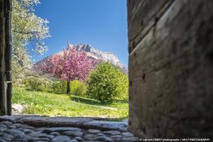 Maisons de vacances GITE DU PORCHE : photos des chambres