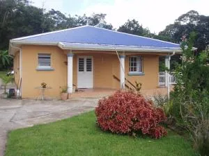 ecrin de verdure - Poste Colon