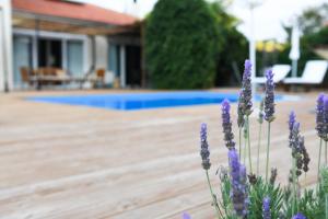 Serenity Luxury Villa, Skiathos Skiathos Greece