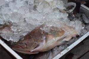 Mr. Chuoi Bar and Hut