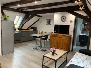 Appartements Gite du Figuier 4 a 6 personnes Selestat Centre-Alsace : photos des chambres