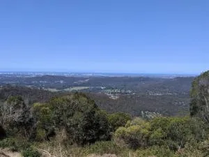 Bottletree Gardens - Mini Manson Blue - Gilston