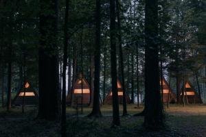 Forest Camping Mozirje
